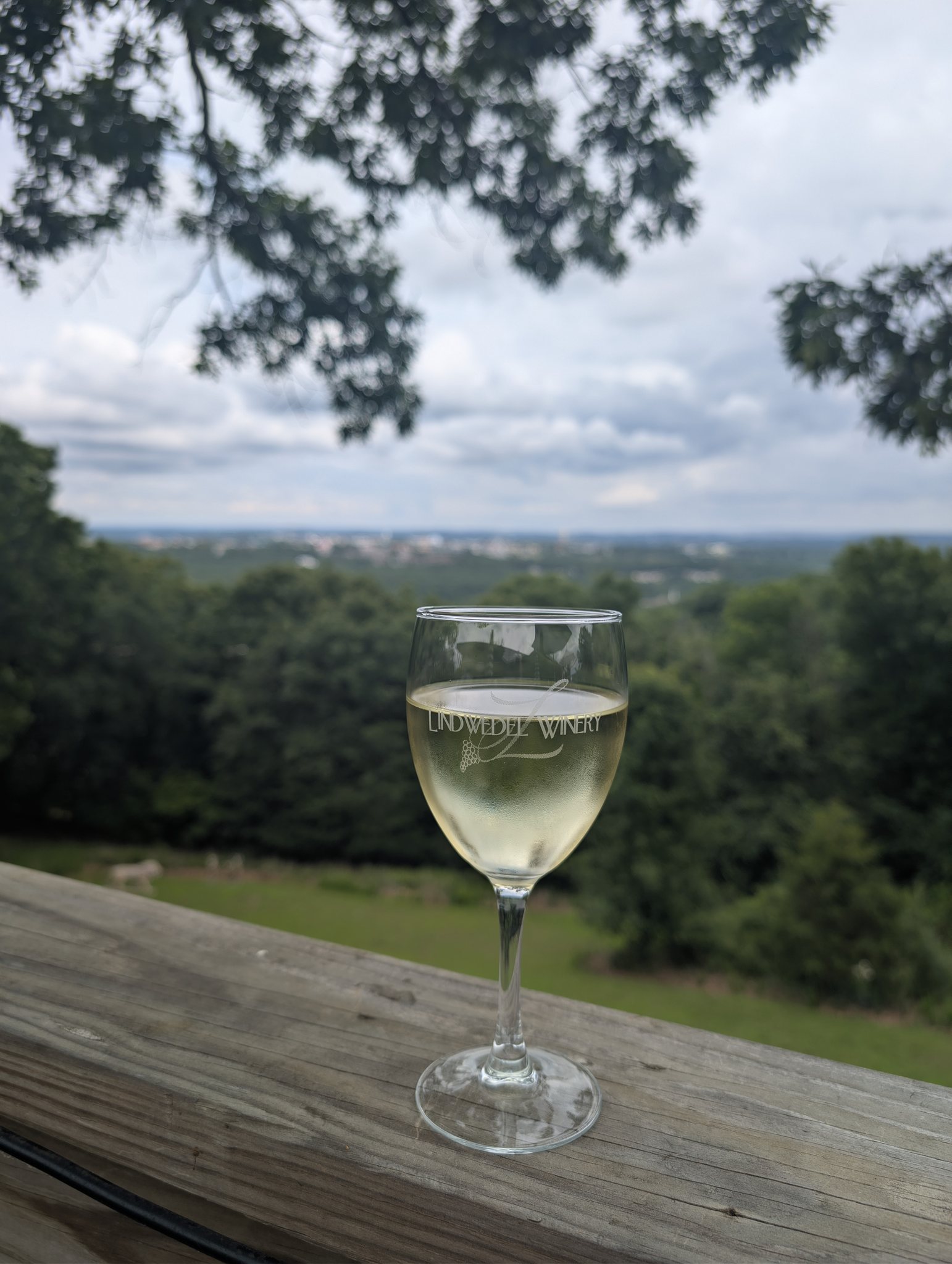 Glass of Lindwedel Winery white wine on a wooden railing overlooking green Ozarks hills near Branson, Missouri
