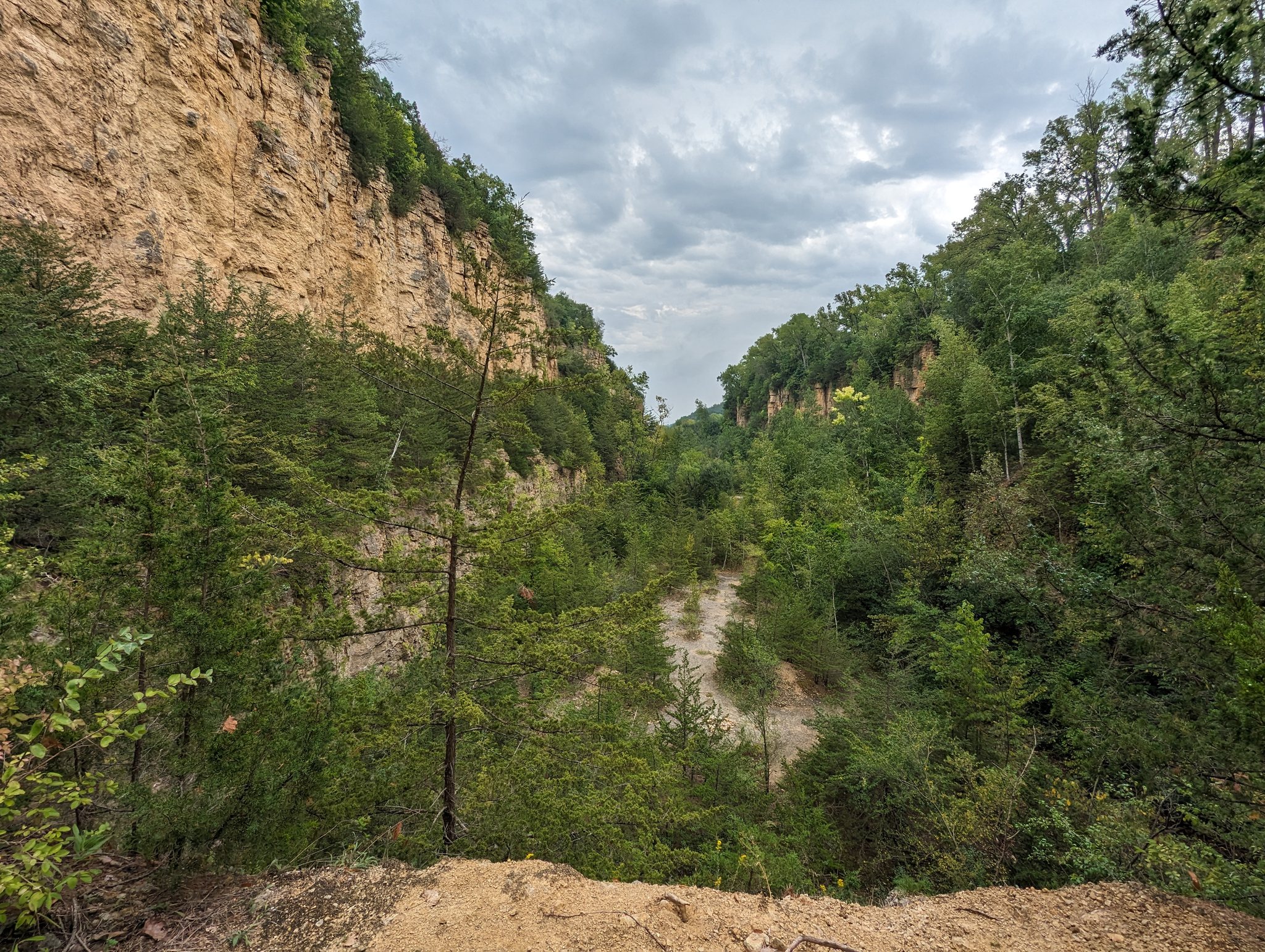 Limestone gorge and forest overlook at Mines of Spain Recreation Area near Dubuque Iowa