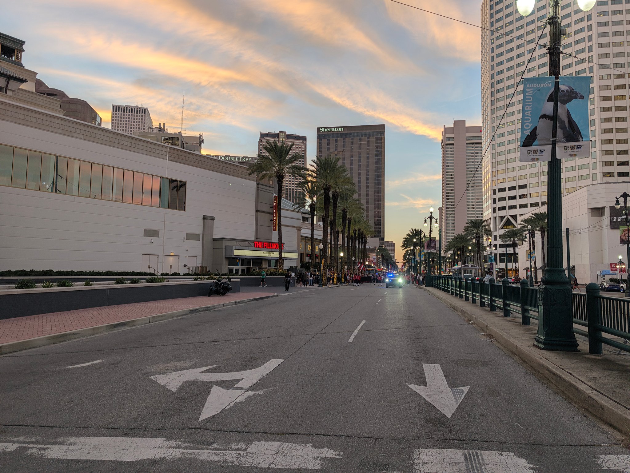 Palm-lined boulevard in downtown New Orleans at sunset, with a Canal Place sign on a building at right