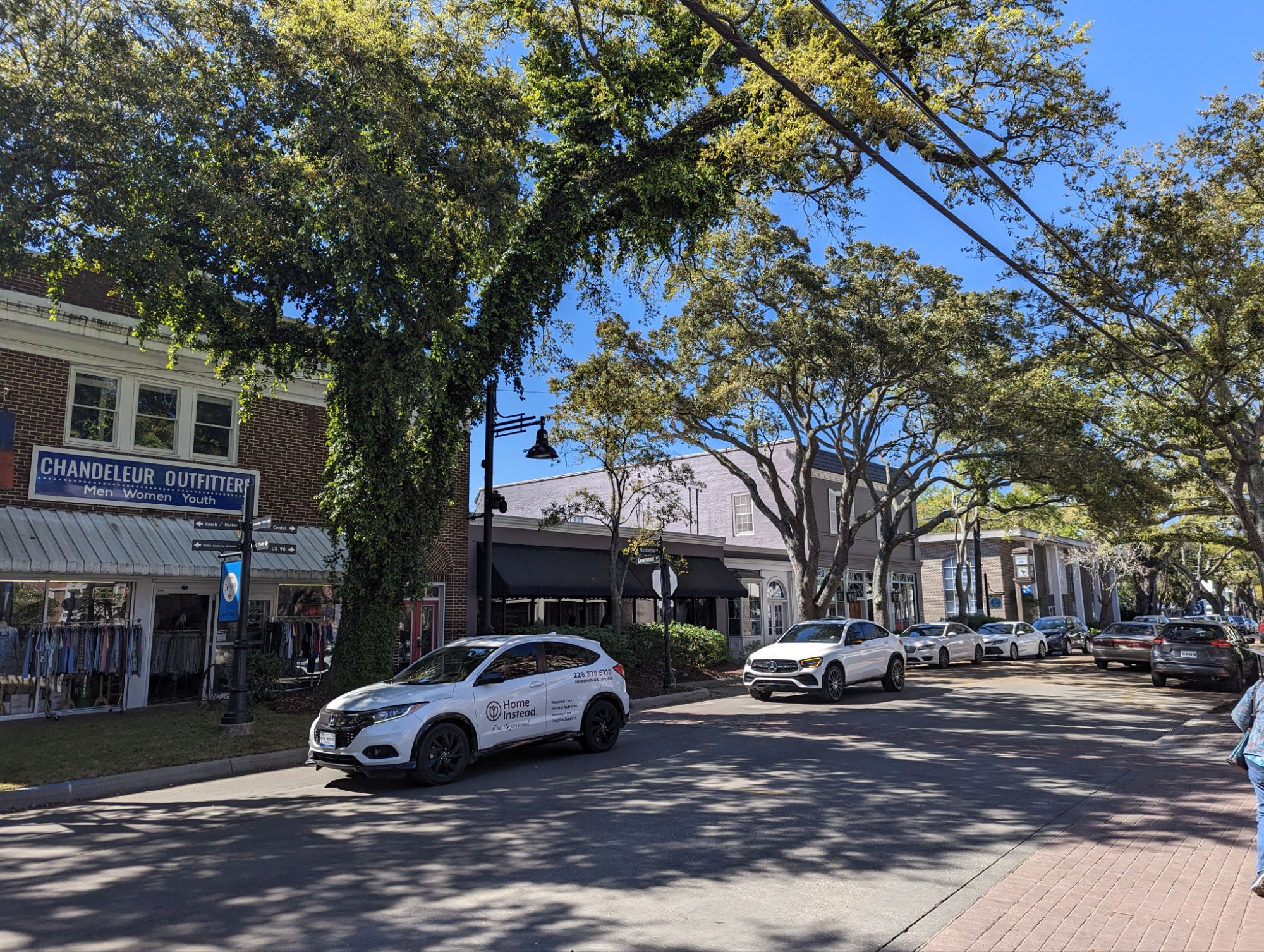 Live oak canopy over a downtown Ocean Springs street with the Chandeleur Outfitters storefront