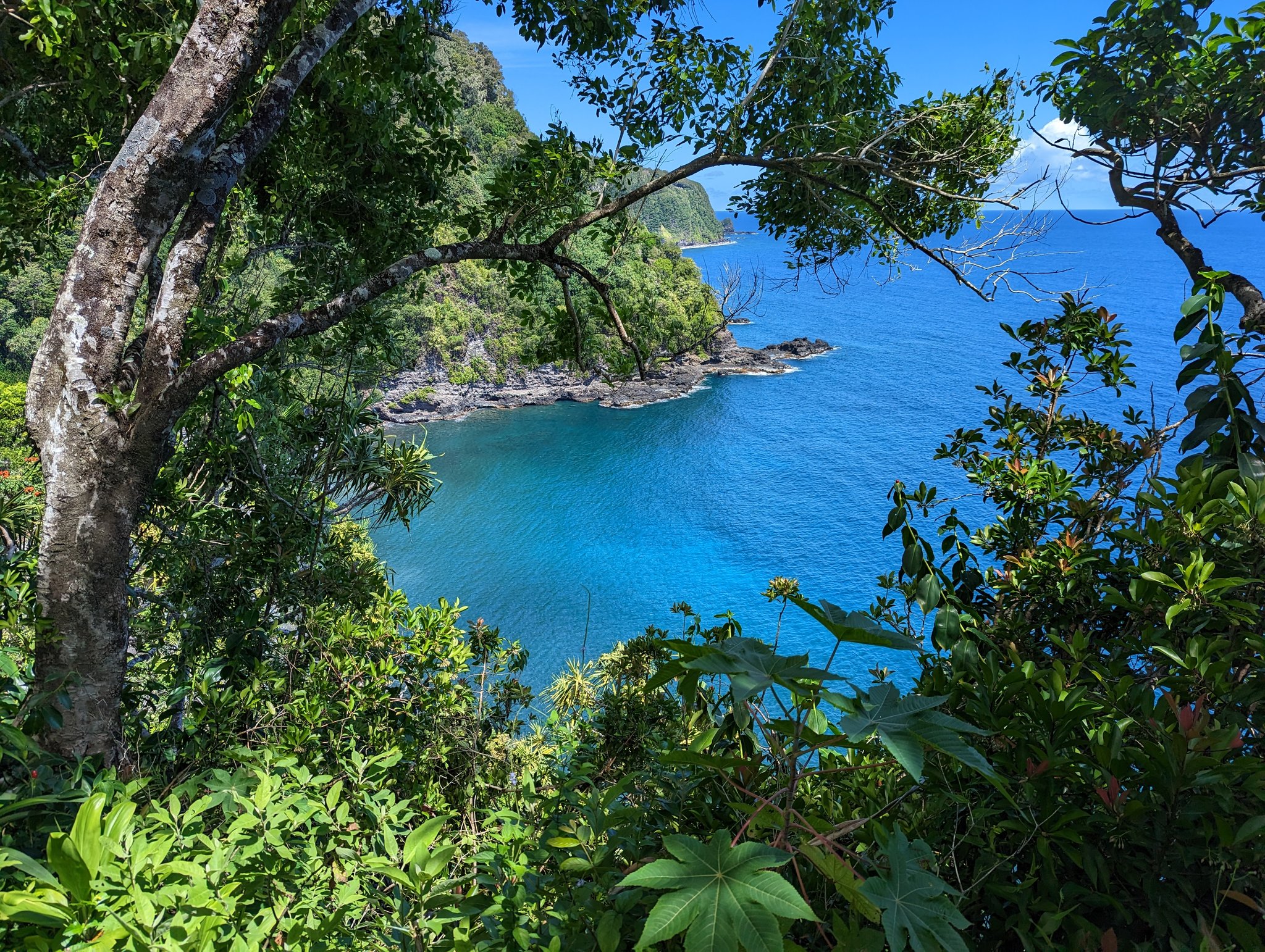 Turquoise cove framed by tropical trees and green cliffs along the Road to Hana on Maui
