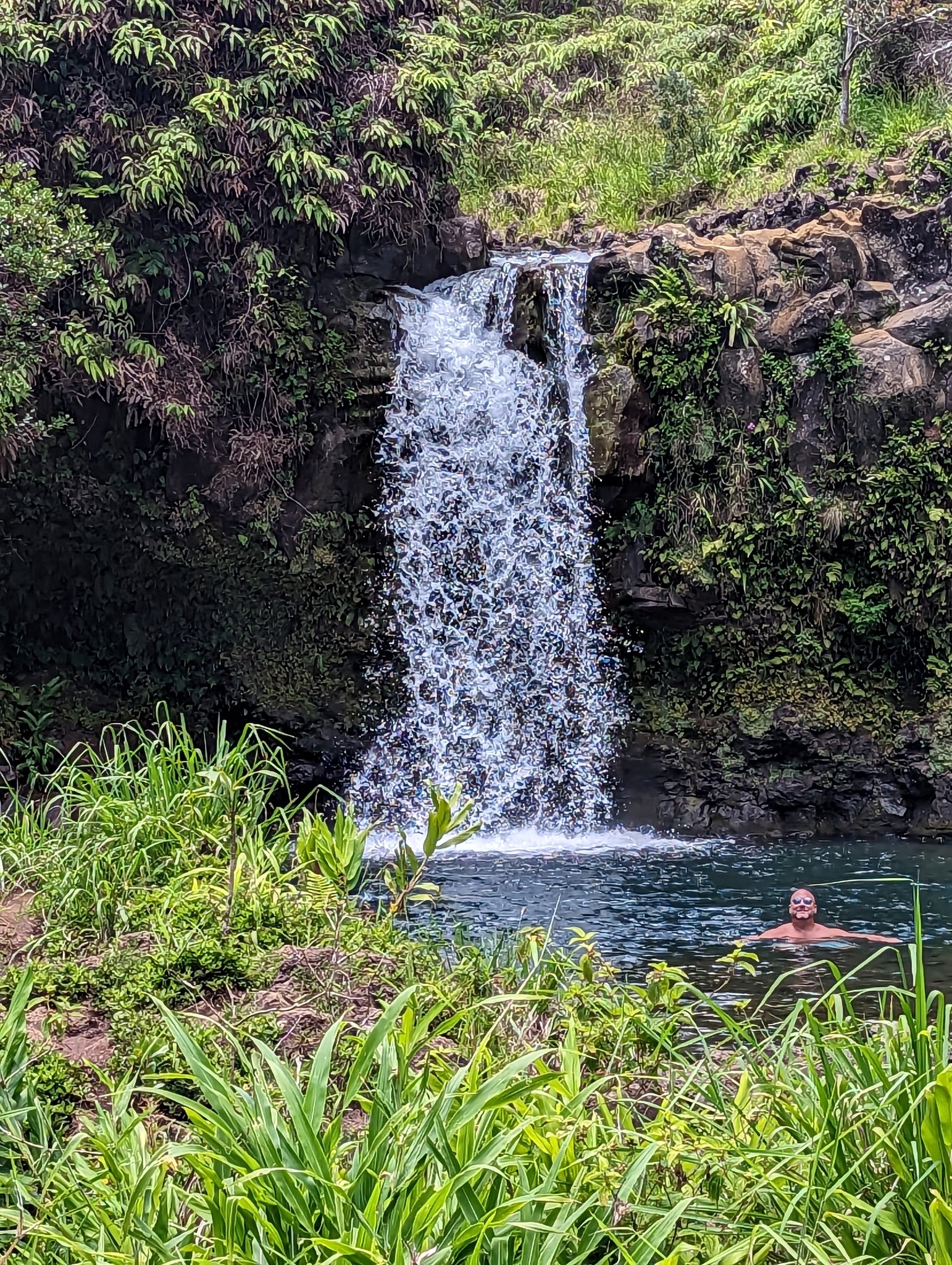 Waterfall pouring over a mossy rock ledge into a pool surrounded by lush greenery on the Road to Hana